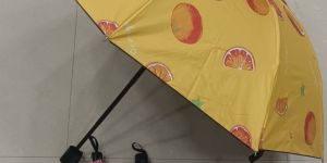 Three Fold Umbrella