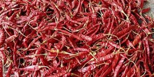 341 Dry Red Chilli