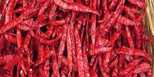 Teja Dry Red Chilli