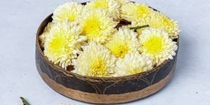 Fresh White Shevanti Flower