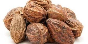 Dry Myrobalan Nuts