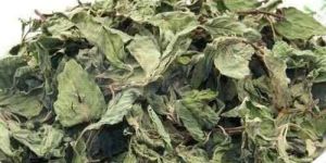 Dehydrated Mint Leaves