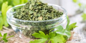 Dehydrated Coriander Leaves