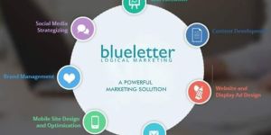 Social Media Management Services