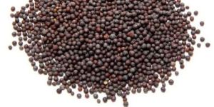Black Mustard Seeds
