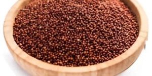 Brown Organic Finger Millet Seeds