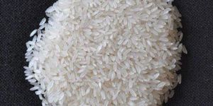 White Steam Rice
