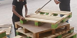 Wooden Pallets Repairing Service