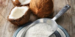 Fresh Coconut Powder