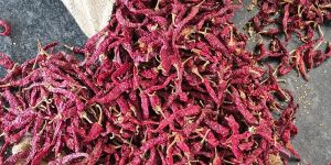 Teja Deluxe Dry Red Chilli