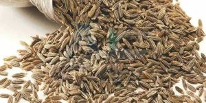 Cumin Seeds