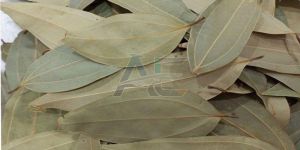 Dried Bay Leaves