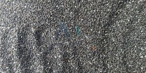 Organic Chia Seeds