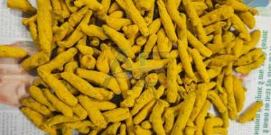 Turmeric Finger
