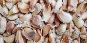 Dried Garlic Cloves