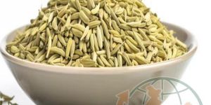 Fennel Seeds