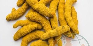 Turmeric Fingers