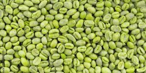 Arabica Unroasted Coffee Beans