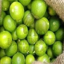 Green Lemons
