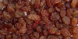 Brown Raisins