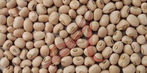 Cow Peas