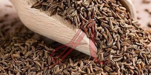 Cumin Seeds