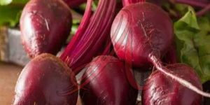 Fresh Beetroot