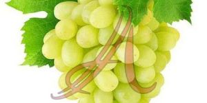Fresh Green Grapes