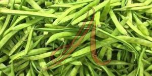 Fresh Guar Beans