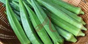 Fresh Okra