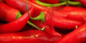 Fresh Red Chilli