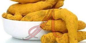 Lakadong Turmeric Finger
