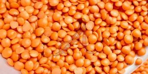 Red Masoor Dal