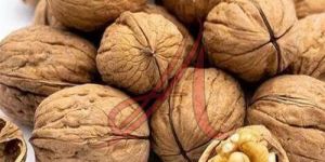 Shelled Walnuts