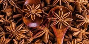 Star Anise Seeds