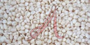White Corn Seeds