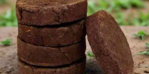 Cow Dung Cake