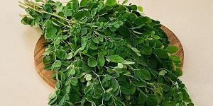 Fresh Moringa Leaves