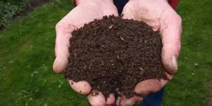 Bio Organic Manure