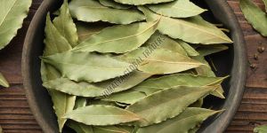 Dry Bay Leaf