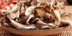 Fine-Cut Dried Oyster Mushroom
