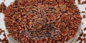 Flax Seeds