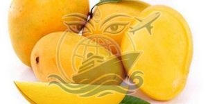 Fresh Alphonso Mango