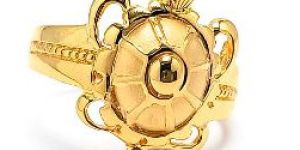 22KT New Design Gold Tortoise Ring Plain