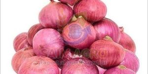 Fresh Pink Onion