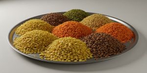 Indian Pulses