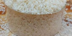 White Gobindobhog Rice