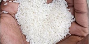 White Sona Masoori Rice