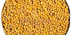 Yellow Mustard Seeds