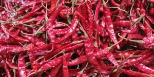 Teja Red Chilli
